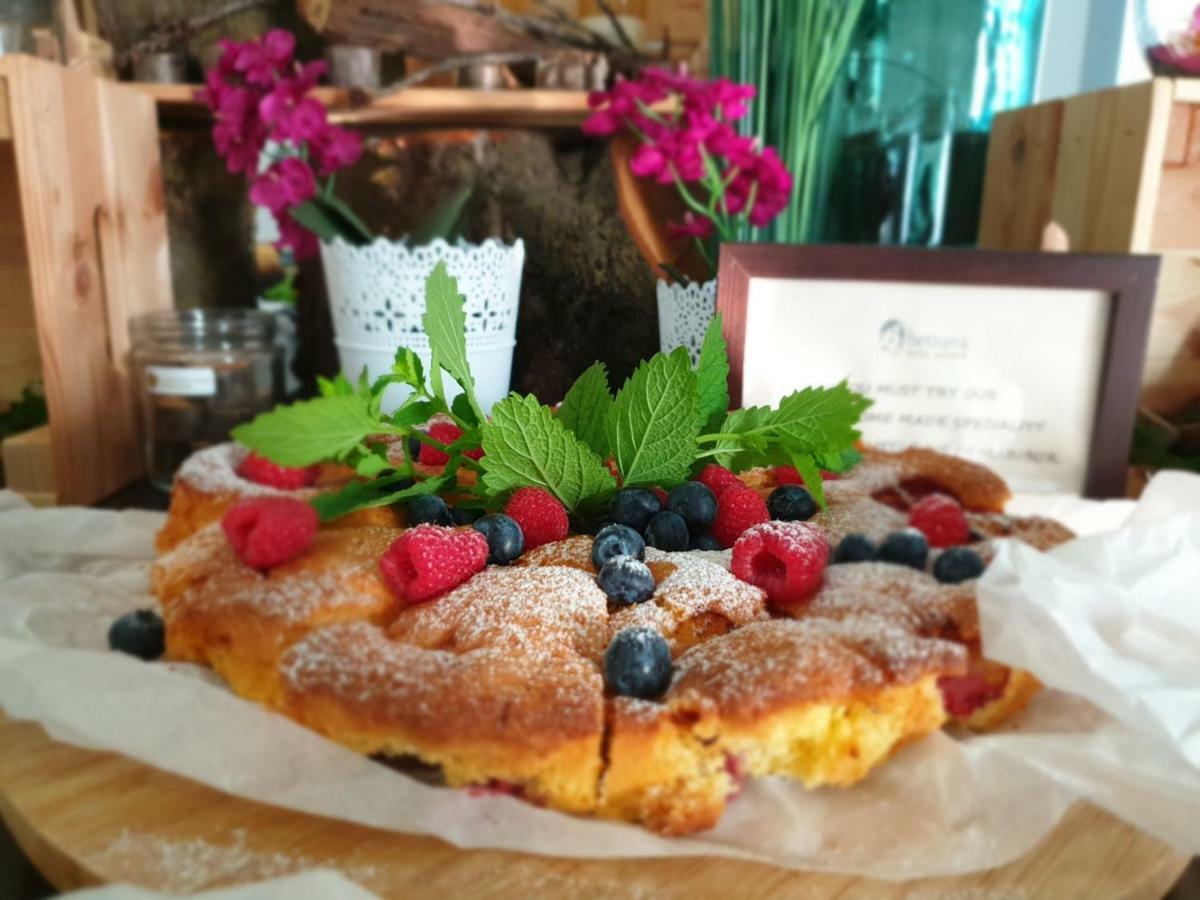 Betnava Hotel Maribor Eksteriør bilde